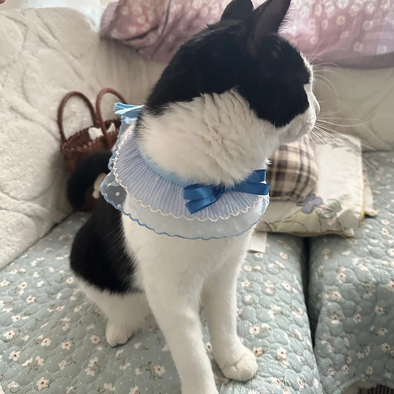 Blue Lace Ruffle Pet Scarf – Princess Neck Accessory for Cats & Small Dogs