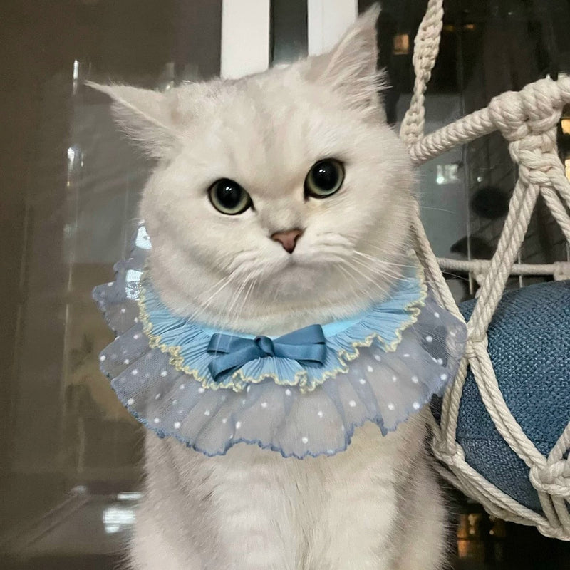 Blue Lace Ruffle Pet Scarf – Princess Neck Accessory for Cats & Small Dogs