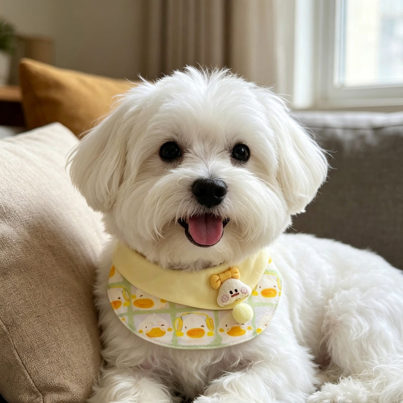 Cute Duck Pattern Pet Bib Collar – Pastel Yellow Neck Accessory for Cats & Small Dogs