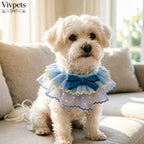 Blue Lace Ruffle Pet Scarf – Princess Neck Accessory for Cats & Small Dogs