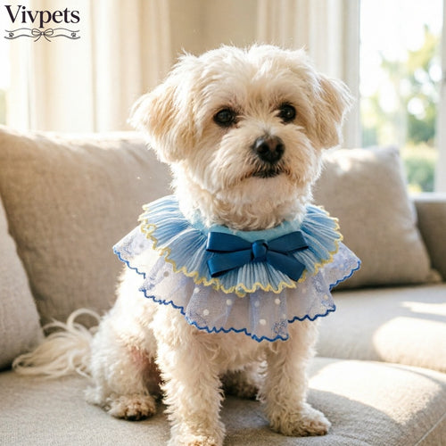 Blue Lace Ruffle Pet Scarf – Princess Neck Accessory for Cats & Small Dogs