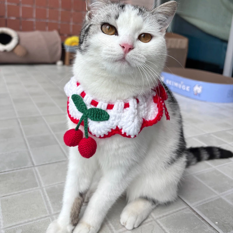 Strawberry and Cherry Knit Pet Bib Collar – Cute Cat & Small Dog Neck Accessory