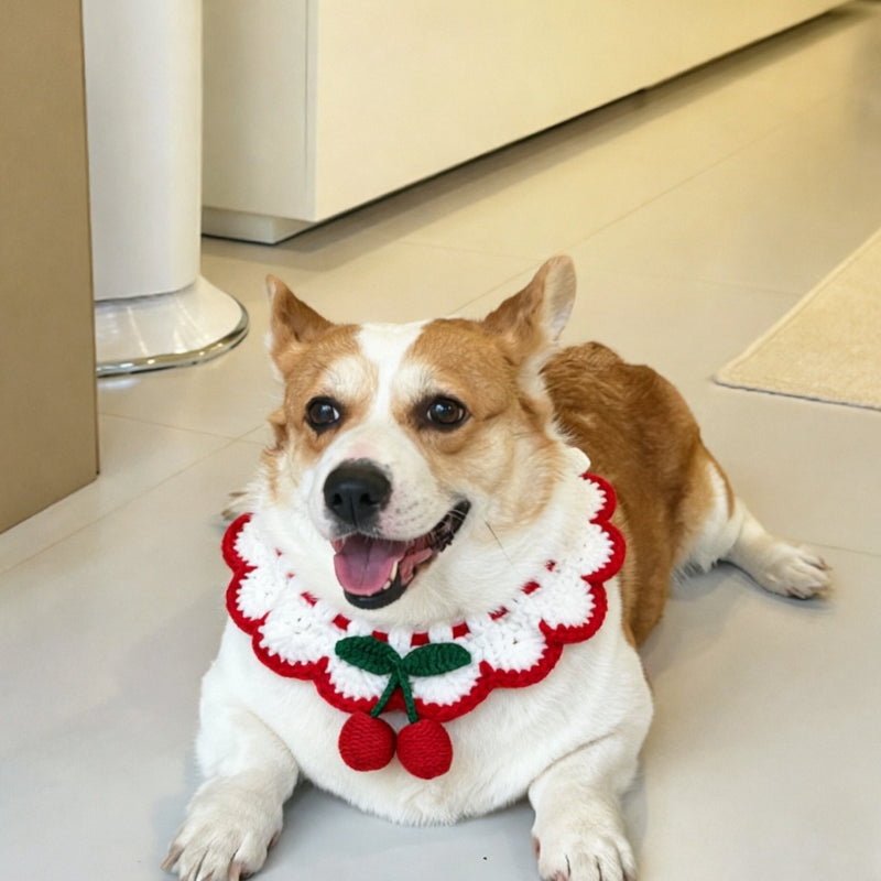 Strawberry and Cherry Knit Pet Bib Collar – Cute Cat & Small Dog Neck Accessory
