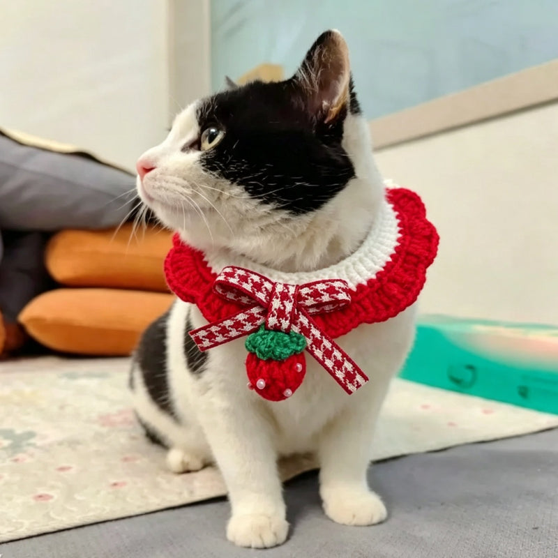 Strawberry and Cherry Knit Pet Bib Collar – Cute Cat & Small Dog Neck Accessory