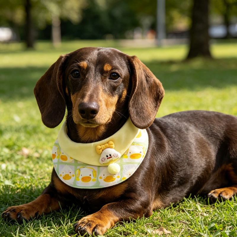 Cute Duck Pattern Pet Bib Collar – Pastel Yellow Neck Accessory for Cats & Small Dogs