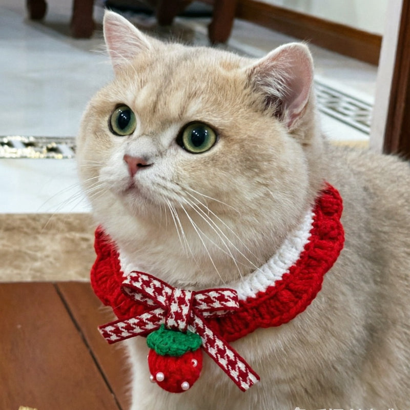 Strawberry and Cherry Knit Pet Bib Collar – Cute Cat & Small Dog Neck Accessory