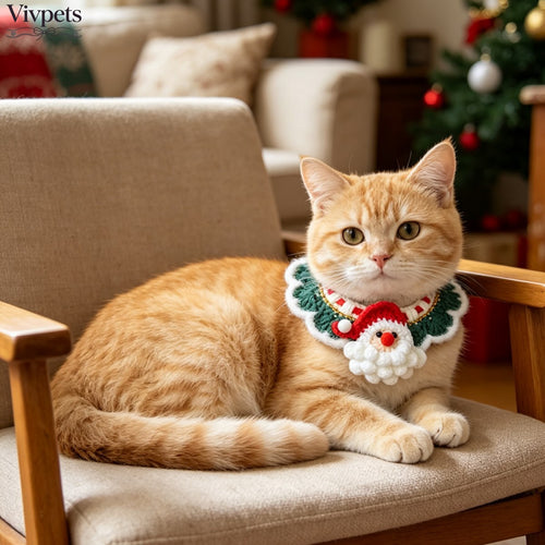 Christmas Santa Crochet Pet Bib – Festive Neck Accessory for Cats & Small Dogs