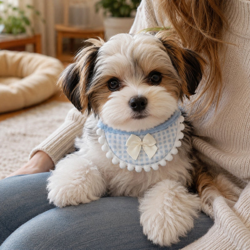 Bow Pom-Pom Pet Bandana Bib – Cute Checkered for Cats, Dogs and Small Pets