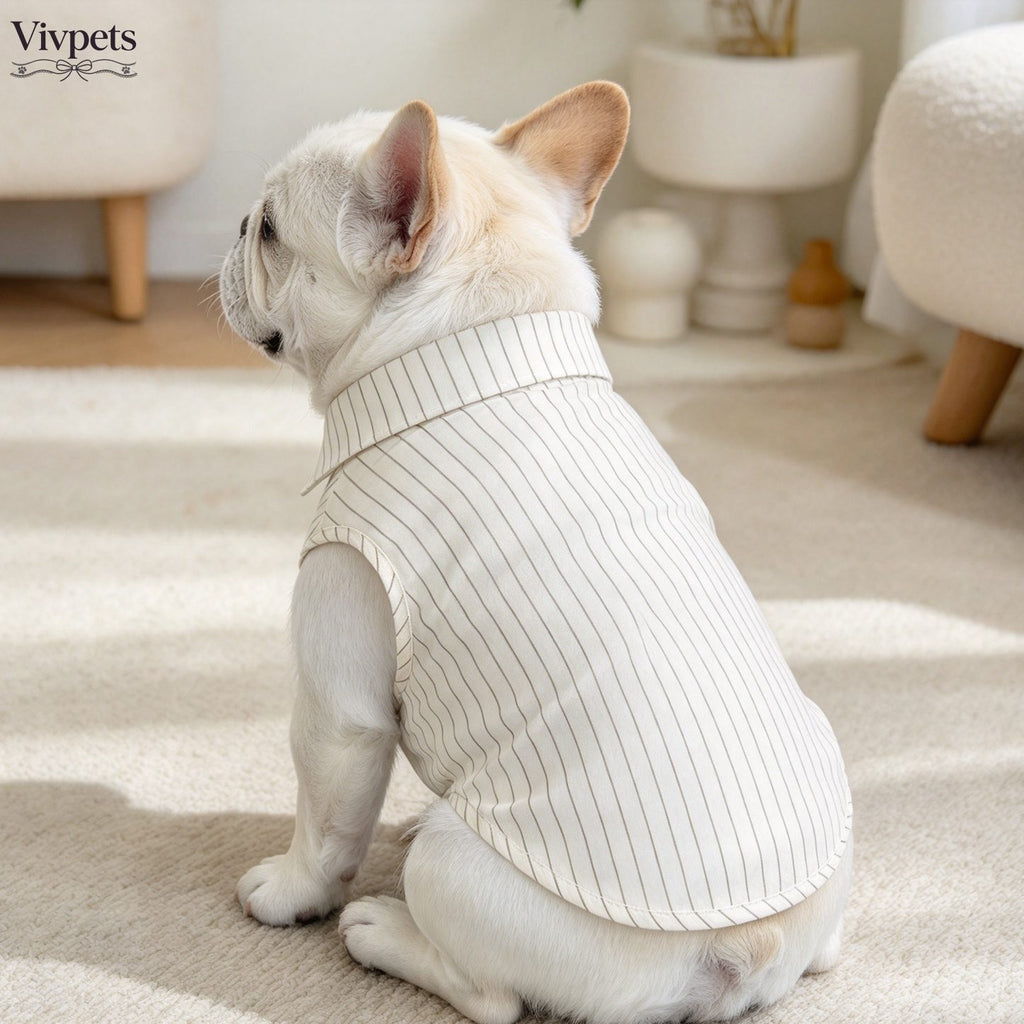 Striped Dog Shirt with Tie - Vintage Clothing for Daily Wear