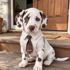Striped Dog Shirt with Tie - Vintage Clothing for Daily Wear